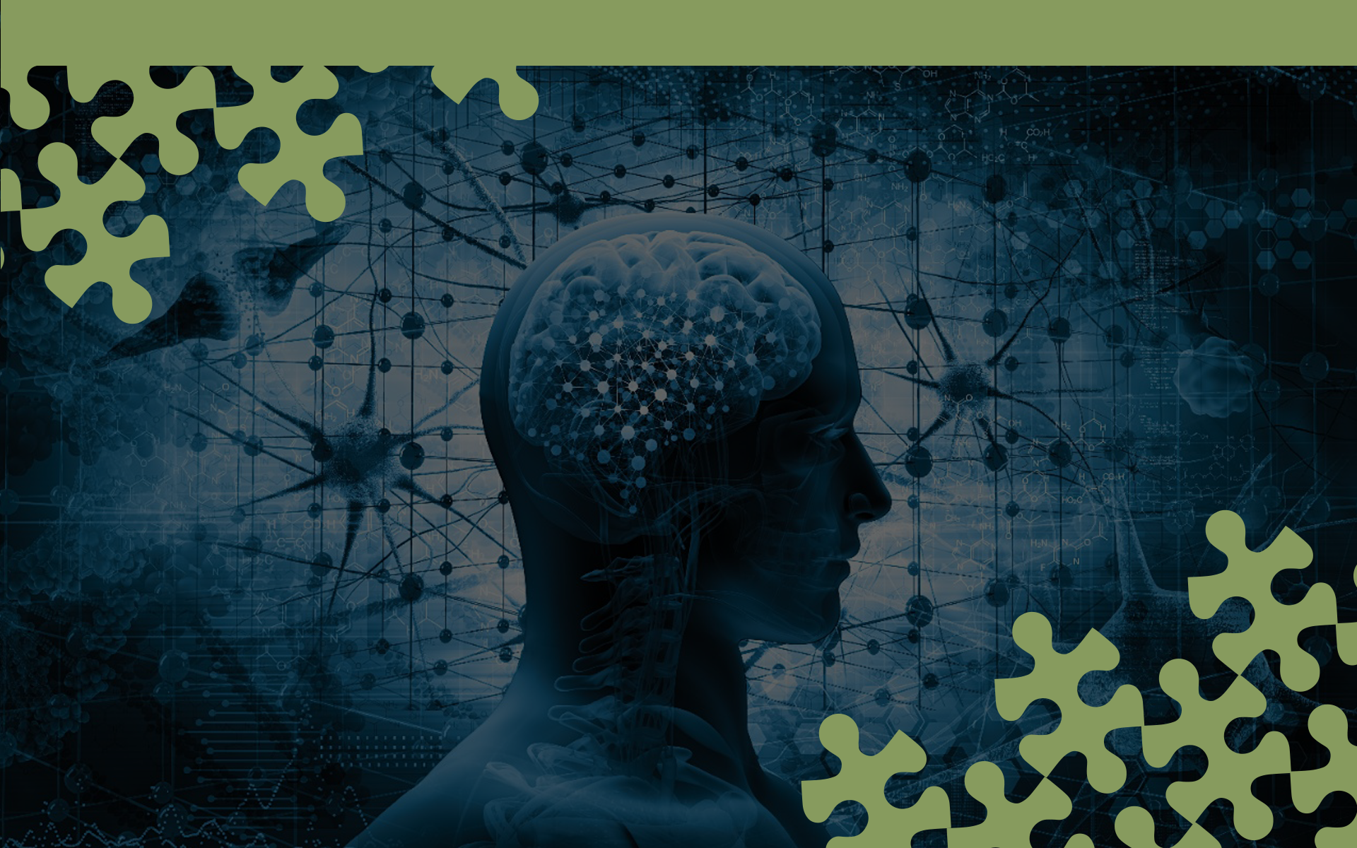 Curso teórico-prático de neuromodulação não invasiva para fonoaudiólogos 280h — 5ª turma